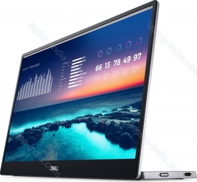 Dell P1424H, 14"