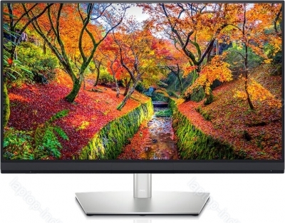 Dell UltraSharp UP3221Q, 31.5"