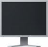 Eizo FlexScan S2133 grey, 21.3" (S2133-GY)