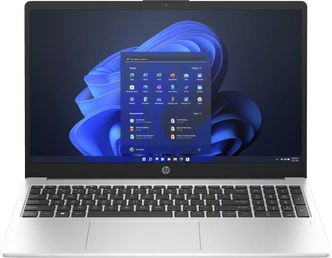 HP 250 G10, Turbo Silver, Core i5-1335U, 8GB RAM, 256GB SSD