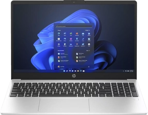 HP 250 G10, Turbo Silver, N100, 8GB RAM, 256GB SSD