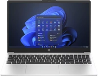 HP 250 G10, Turbo Silver, Core i5-1335U, 8GB RAM, 256GB SSD