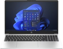 HP 250 G10, Turbo Silver, N100, 8GB RAM, 512GB SSD