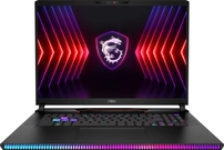 MSI Raider GE78 HX 14VIG-671, Core Black, Core i9-14900HX, 32GB RAM, 2TB SSD, GeForce RTX 4090
