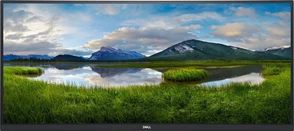 Dell P3421W (ohne Standfuß), 34"