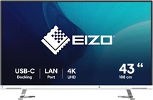 Eizo FlexScan EV4340X weiß, 42.5"