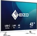 Eizo FlexScan EV4340X weiß, 42.5"