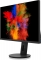 Fujitsu P-Line P2711 TS QHD, 27"
