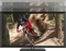 HP DreamColor Z31x, 31.1"