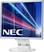 NEC MultiSync E171M silber/grau, 17"