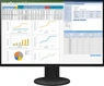 Eizo FlexScan EV2457 schwarz, 24.1"